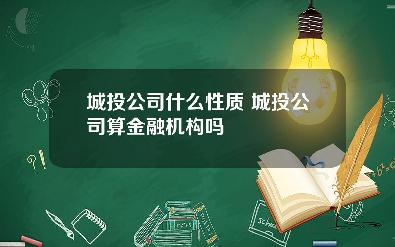 城投公司什么性质 城投公司算金融机构吗